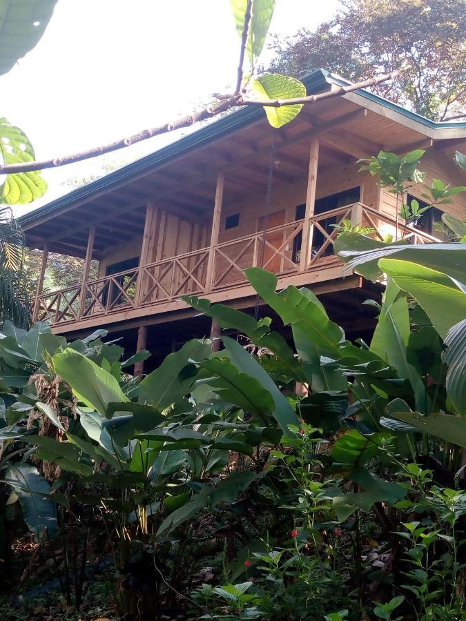 Forest Lodge Uvita Eksteriør billede
