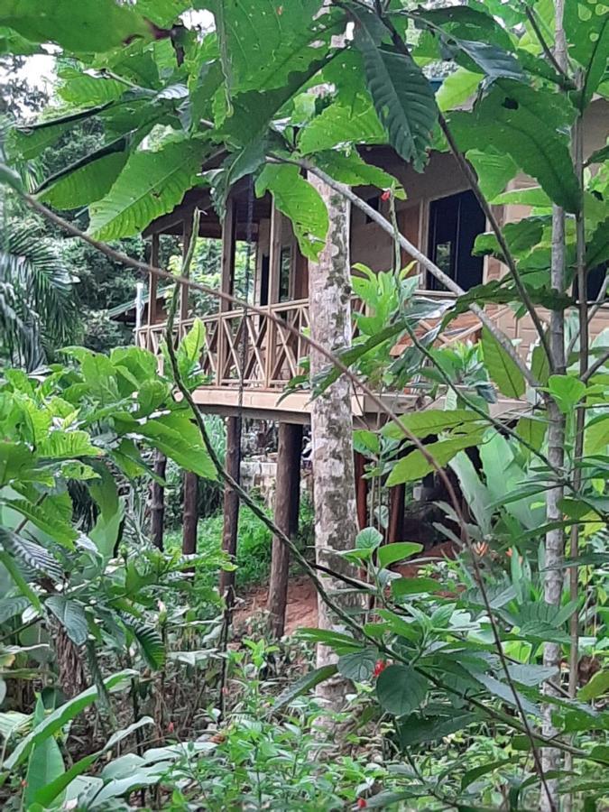 Forest Lodge Uvita Eksteriør billede