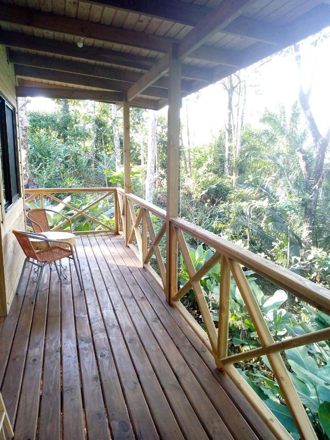 Forest Lodge Uvita Eksteriør billede